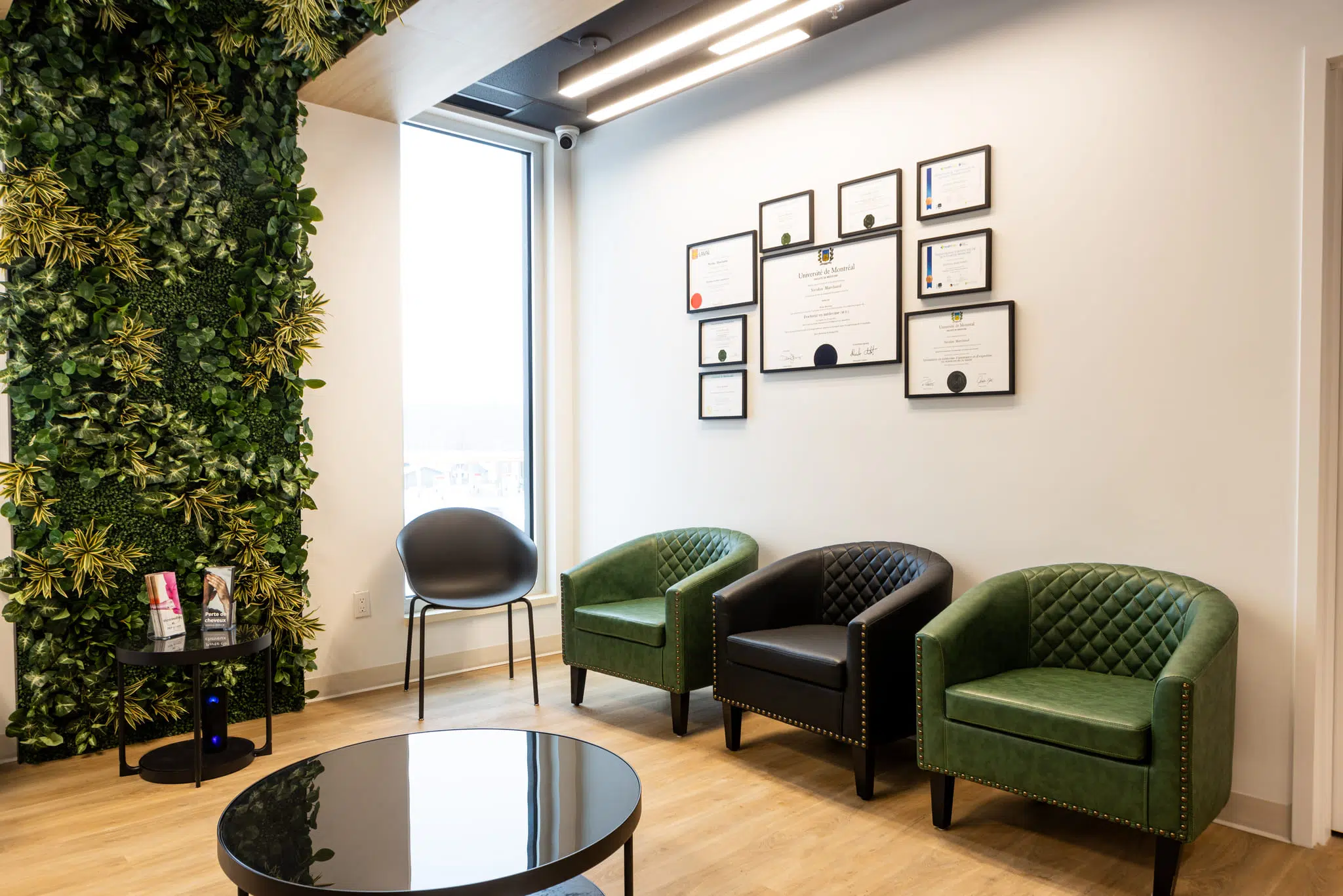 La salle d'attente de la Clinique médico-esthétique et dermatologique Derma M à Trois-Rivières. On y voit une belle salle lumineuse avec de la verdure et des fauteuils confortables.