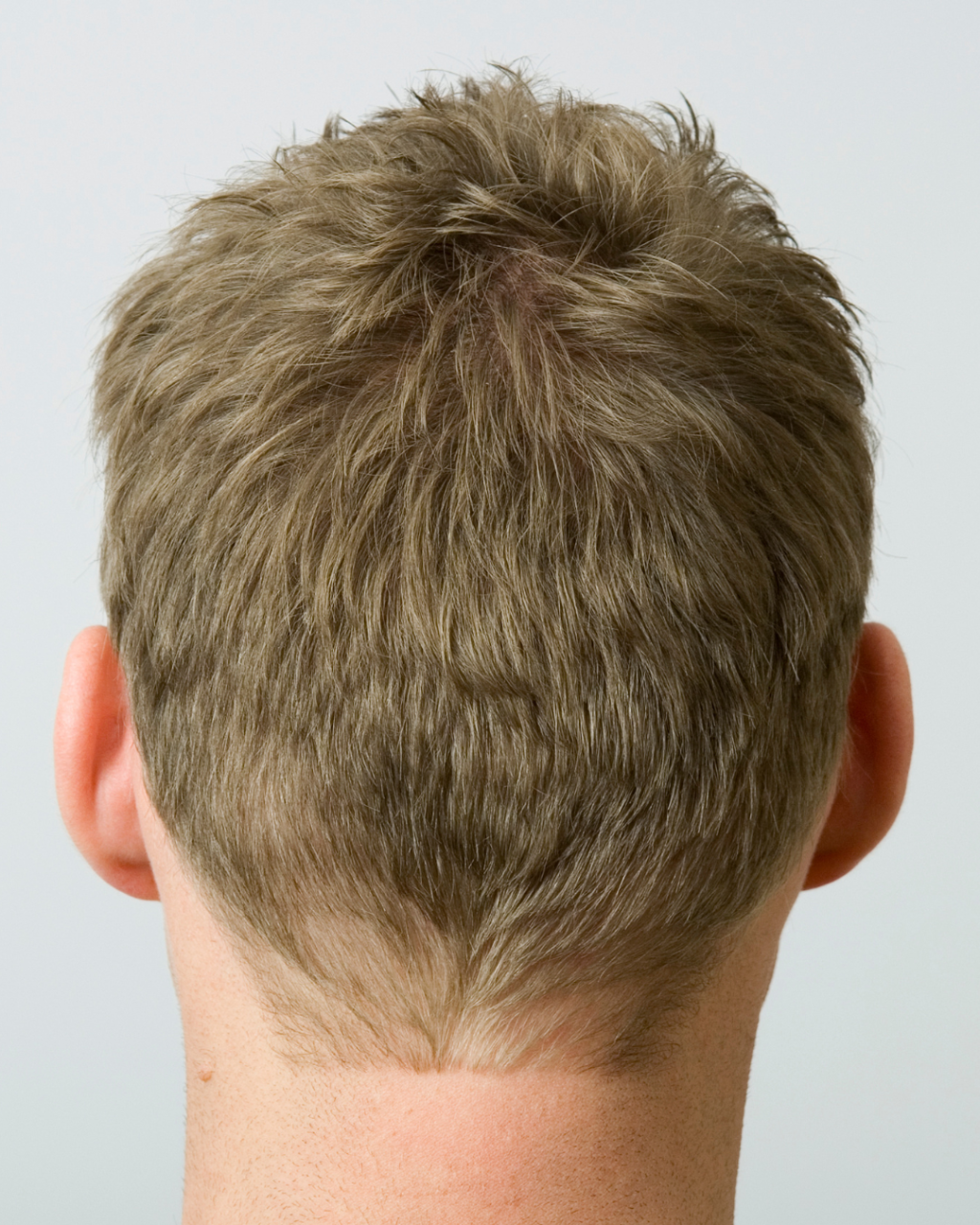 Tête d'homme avec beaucoup de cheveux